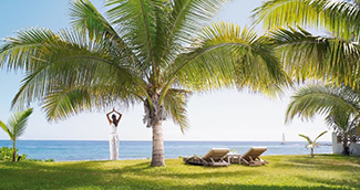 Le Saint Alexis 4* Le Saint Alexis 4*